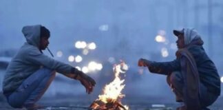 Bihar Weather: नए साल का स्वागत घना कोहरा और शीतलहर से, जानिए 5 का IMD Alert