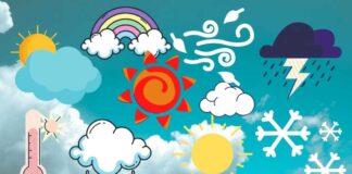 Bihar Weather: जारी है आंधी-बारिश का कहर, Darbhanga समेत इन जिलों का जानिए क्या है हाल!