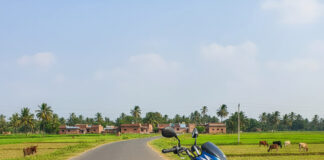 Bajaj Platina 100: शानदार माइलेज और दमदार परफॉरमेंस का बेजोड़ संगम Bihar News Deshaj Times