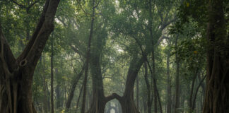 Law of Karma: कर्म के गूढ़ रहस्य, जो तय करते हैं जीवन का पथ Bihar News Deshaj Times