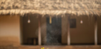 पोंगल 2026: जानिए कब है यह पावन पर्व और इसका आध्यात्मिक महत्व Bihar News Deshaj Times