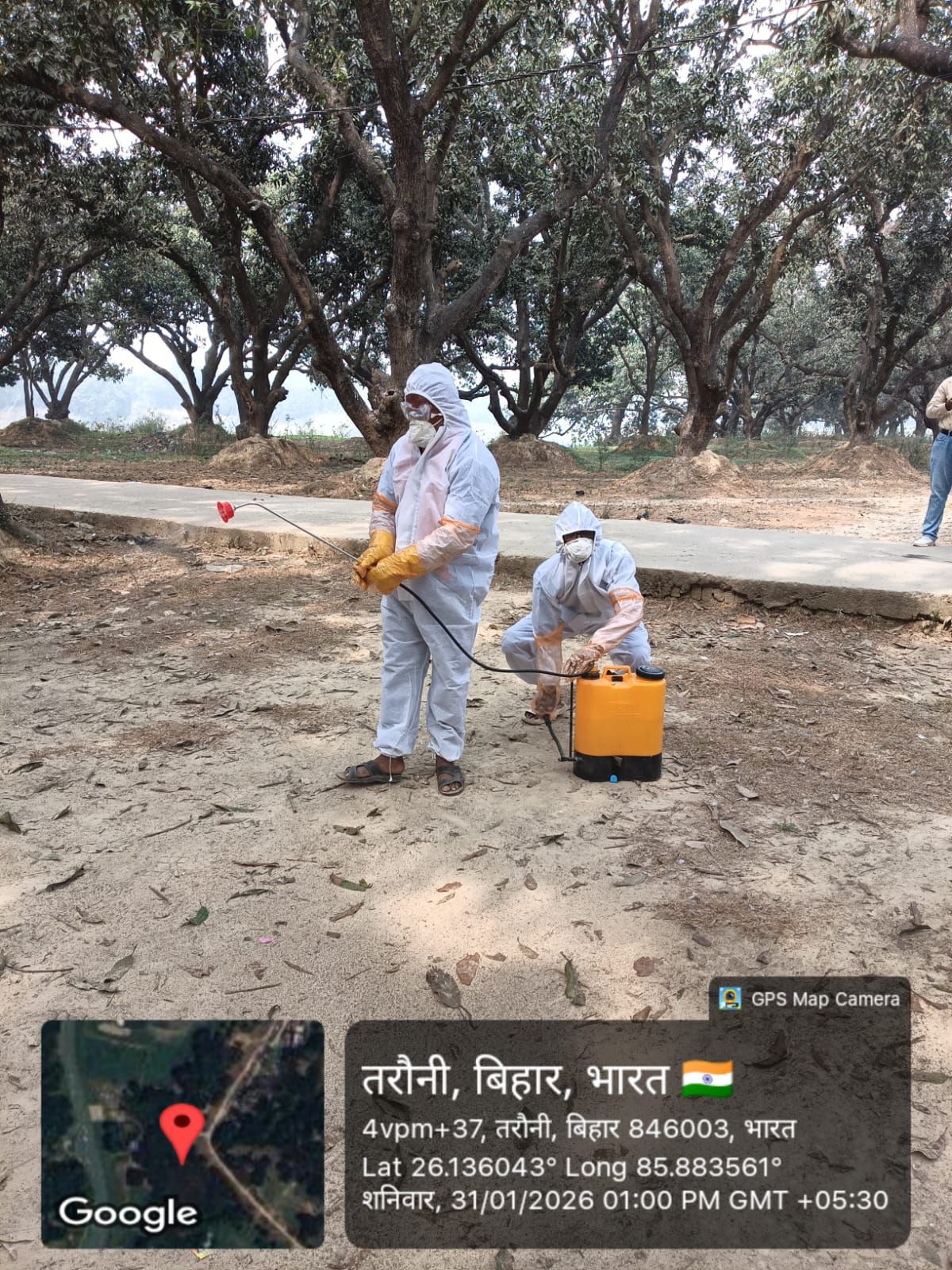 Darbhanga News: दरभंगा में Bird Flu का खौफ...Bihar में प्रशासन हुआ अलर्ट, मुर्गा बिक्री पर रोक नहीं लेकिन रखी जाएगी पैनी नजर