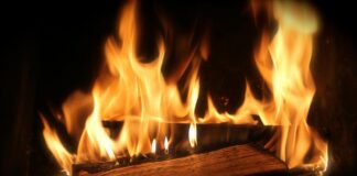 Muzaffarpur News: सात परिवारों के आशियाने राख, बेटी की शादी की खुशियां भी जली, पढ़िए कांटी अग्निकांड कोहराम