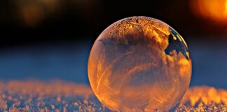 Bihar Weather: बर्फीली हवाओं और घने कोहरे से ठिठुरा बिहार, 19 जिलों में ऑरेंज अलर्ट