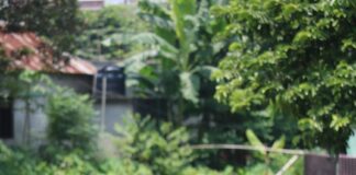 Bihar Farmer Registry: चलेगा ‘महाभियान’, लाखों किसानों को सीधे मिलेंगे सभी सरकारी लाभ