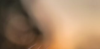 Bihar Orange Alert: बिहार के 29 जिलों में ऑरेंज अलर्ट, अगले तीन दिन घना कोहरा और कड़ाके की ठंड!