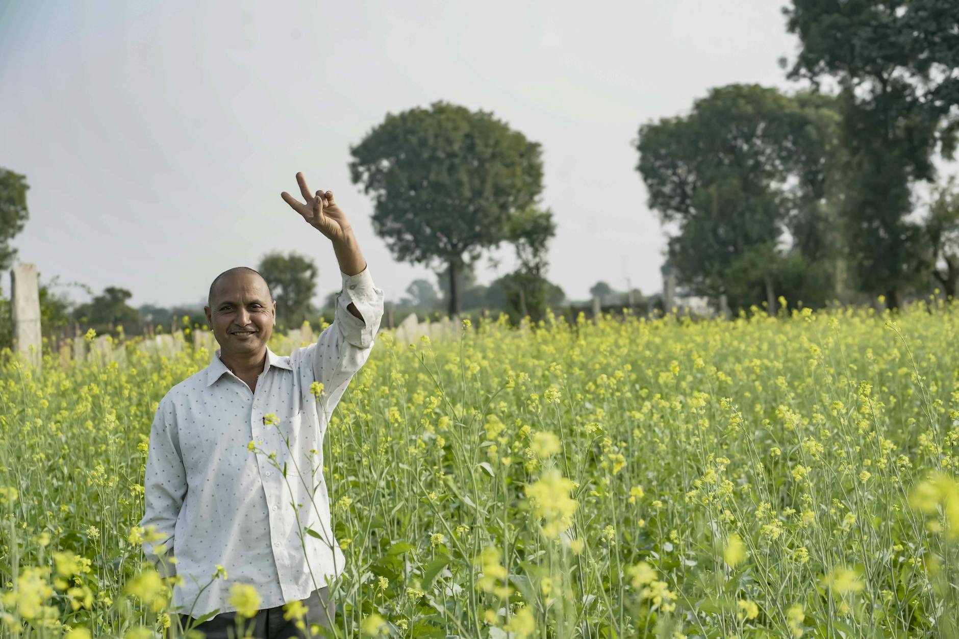 farmer in mustard field showing victory sign