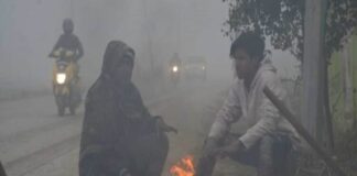 Bihar Weather: बिहार में ठंड और घना कोहरा जारी, मौसम विभाग का जानिए अलर्ट, कब मिलेगी राहत?