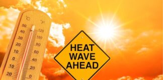 Bihar Weather: कब मिलेगी दिन की गर्मी और रात की ठंड से मुक्ति, जानें IMD का अपडेट