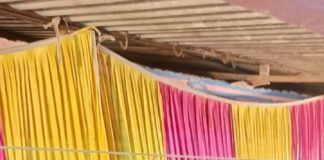 Darbhanga Cricket News: भरडीहा ने बरनिया को रोमांचक मुकाबले में हराया, BPL नाईट टूर्नामेंट के फाइनल में जीता खिताब Bihar News Deshaj Times