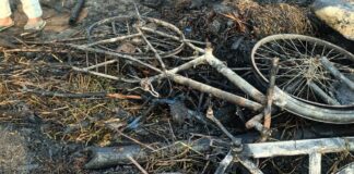 Darbhanga News:आधी रात को Kusheshwarsthan में आग का तांडव, 5 घर जलकर राख, 2 महिलाएं झुलसीं | Kusheshwarsthan Fire News