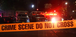 Madhubani News: नेपाल से भारत में घुसा बैंक डकैती का फरार मुजरिम, पुलिस ने फिल्मी अंदाज में दबोचा, हथियार और गांजा बरामद