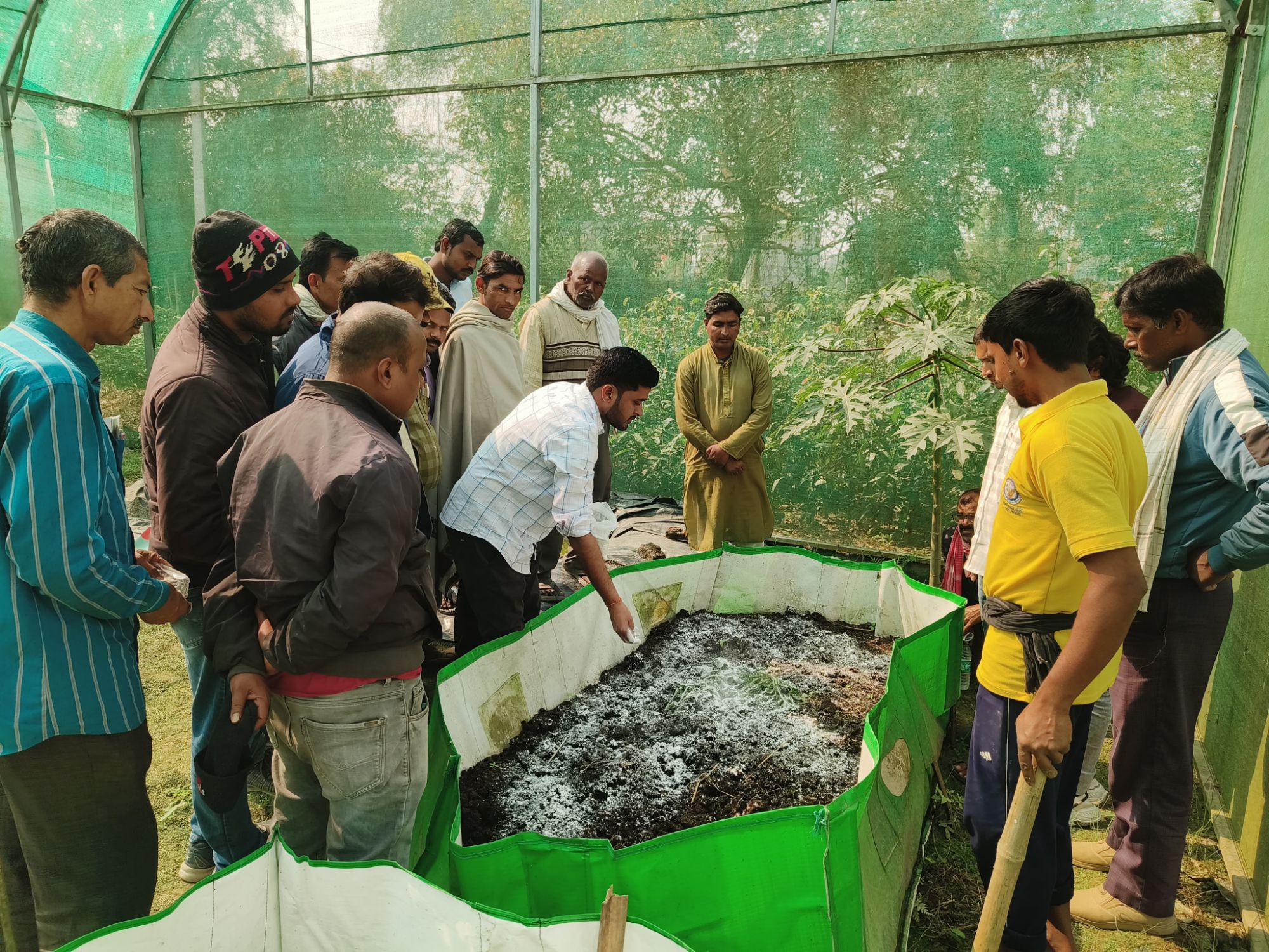 Darbhanga News: खेतों में उम्मीद के बीज ...Vegetable Nursery Training बनेगा गेमचेंजर... कृषि विज्ञान केंद्र से सब्जी नर्सरी उत्पादन की नई रोशनी, जानिए स्पेशल इंस्ट्रक्शन और युवाओं को सुनहरा अवसर