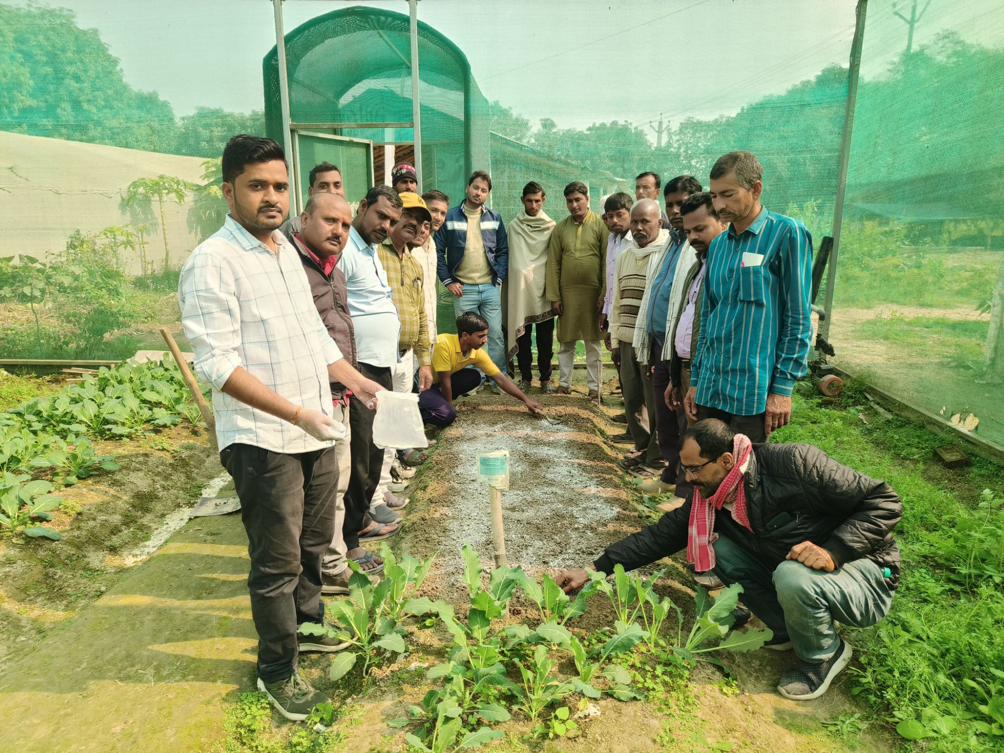 Darbhanga News: खेतों में उम्मीद के बीज ...Vegetable Nursery Training बनेगा गेमचेंजर... कृषि विज्ञान केंद्र से सब्जी नर्सरी उत्पादन की नई रोशनी, जानिए स्पेशल इंस्ट्रक्शन और युवाओं को सुनहरा अवसर
