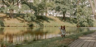 Nepal Election: शांतिपूर्ण मतदान के लिए Indo -Nepal Border सील, जानिए क्या हैं नए नियम?