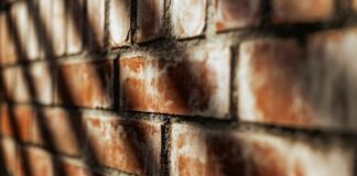 Darbhanga News: दरभंगा में दो दिन बत्ती रहेगी गुल, इन इलाकों में सुबह 11 से शाम 5 बजे तक बिजली कटौती, पढ़िए पूरी खबर