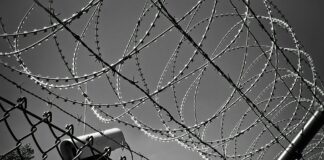 Bihar SAP Recruitment: बिहार में 17 हजार पूर्व सैनिक और अर्धसैनिक बल होंगे तैनात, जानिए सरकार का बड़ा कदम