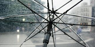 Bihar Weather: बिहार में मौसम का यू-टर्न, 15 फरवरी से लीजिए बारिश का मजा, IMD की अलर्ट