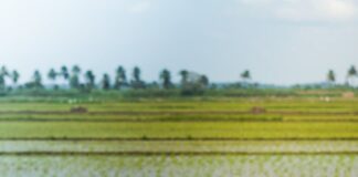 Bihar Farmers Relief: किसानों को मिली बड़ी सौगात, सीधे खातों में पहुंची 100 करोड़… अन्न दाताओं के नुकसान की भरपाई… खुला ख़ज़ाना