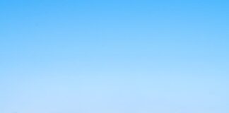 Darbhanga News: मछुआरों की चमकी किस्मत! सरकार दे रही 90% सब्सिडी पर नाव-जाल, दोगुनी होगी कमाई