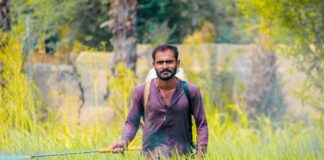 Bihar Marketing Federation: किसानों की किस्मत चमकाएगा बिहार का नया मार्केटिंग फेडरेशन, बिचौलियों का खेल खत्म!