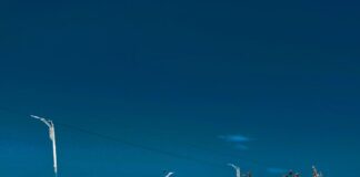 Patna News: जेपी सेतु पर धरी गई लाखों की ‘माया’, आयकर विभाग करेगा अब पूछताछ, पढ़िए कार और 16.5 लाख का राज!