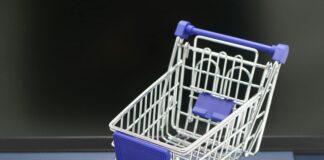 Bihar E-challan: टोल प्लाजा पर लागू हुआ नया डिजिटल नियम, अब कटेंगे फटाफट Bihar E-challan, बिना देर किए निपटा लें ये काम!