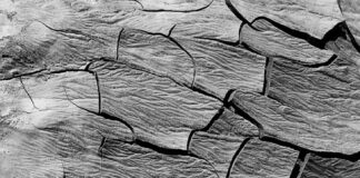 Bihar Land Survey: लाखों एकड़ बिना सर्वे वाली जमीन पर सरकार का बड़ा फैसला, दो साल में पूरा होगा विशेष अभियान