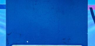 Patna Vending Zone: पटना में जल्द बनेंगे 36 नए वेंडिंग जोन, वेंडरों को मिलेंगी विश्वस्तरीय सुविधाएं