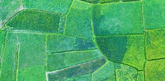 Bihar Land Registry: बिहार में मार्च के बाद महंगी होगी जमीन की रजिस्ट्री, जानें क्या है नया नियम