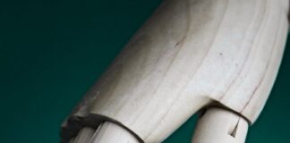 Bihar Education: अब बिहार के इंजीनियरिंग कॉलेजों में होगी AI की पढ़ाई, छात्रों के लिए सुनहरे भविष्य की राह खुली