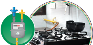 Bihar News: बिहार में अब 24 घंटे में मिलेगा PNG Connection, सरकार का फरमान, लाखों घरों के किचन की बदलेगी तस्वीर, इन 20 जिलों में भी जल्द शुरू होगी सेवा !