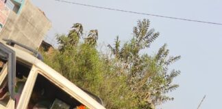 Darbhanga News: Benipur में होली पर हादसों का तांडव, एक युवक की मौत, 77 से ज्यादा घायल, DMCH रेफर