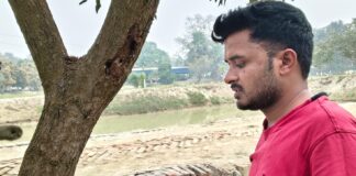 Darbhanga News: दरभंगा के आम बागानों में ‘साइलेंट किलर’ का हमला, पेड़ सूख रहे, किसान परेशान, जानिए कैसे करें Mango Stem Borer से बचाव!