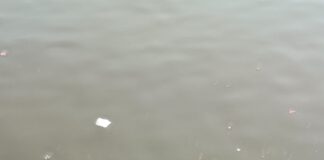 Darbhanga News: लाखों पानी में बहे, फिर भी मैली है बाबा Kusheshwarsthan की शिवगंगा, बदबूदार पानी, डुबकी, मजबूर श्रद्धालु और उद्धार का इंतजार! Special Report हरे रंग से उठती दुर्गंध!