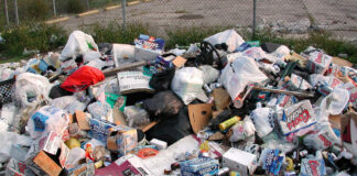 Siwan News: सीवान में होली से पहले ‘गंदगी का तांडव’, सफाईकर्मी हड़ताल पर, पढ़िए…. ये शहर के कचरे!