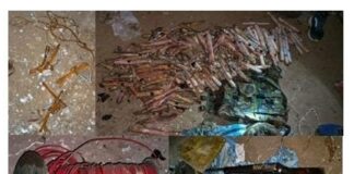 Bihar Naxalites: नवादा में STF का शिकंजा, पीएलएफआई के दो दुर्दांत नक्सली भारी हथियारों और 40 किलो विस्फोटक के साथ गिरफ्तार