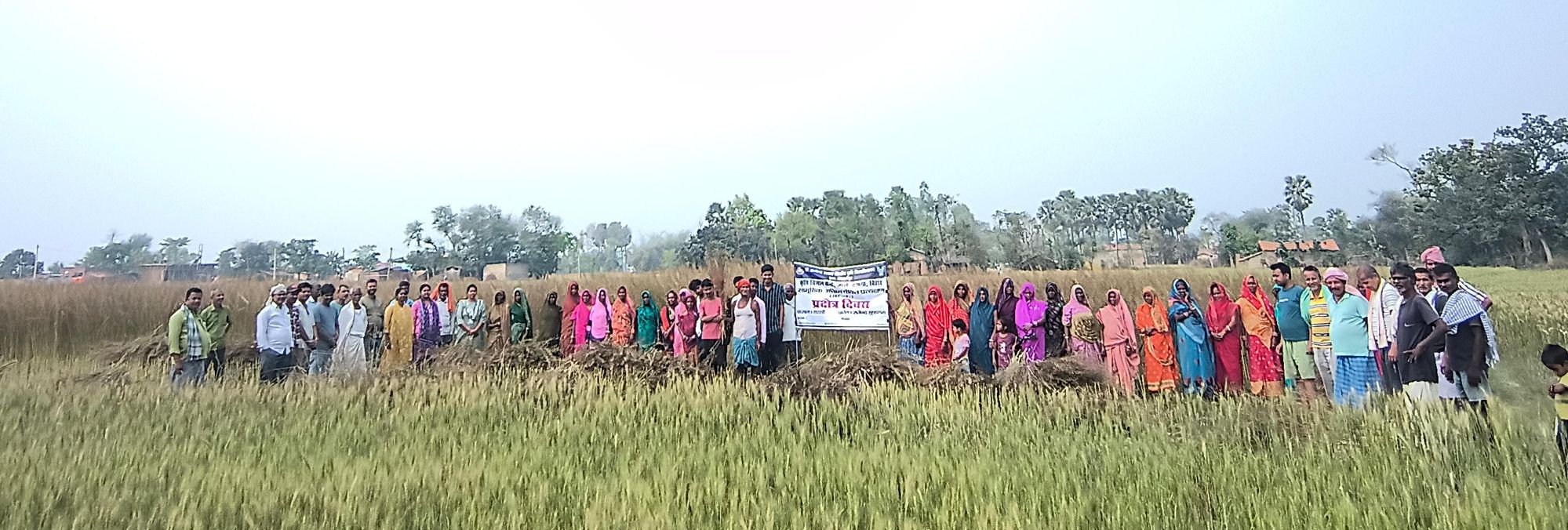 Darbhanga News: दरभंगा में Mustard Cultivation, सरसों की ये किस्म है 'सोनार बांग्ला', अब Bihar के किसान भी होंगे मालामाल, जानें राजेंद्र सफलाम-1 की खासियत | Deshaj Times Darbhanga News: दरभंगा में Mustard Cultivation, सरसों की ये किस्म है 'सोनार बांग्ला', अब Bihar के किसान भी होंगे मालामाल, जानें राजेंद्र सफलाम-1 की खासियत