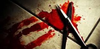 Vaishali Crime News: T20 फाइनल मैच बना मौत का मैदान, वैशाली में किशोर की बेरहमी से हत्या