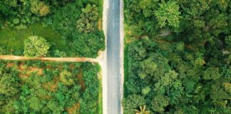 Bihar NH Projects: बिहार में सड़क विकास को ग्रहण, 26 परियोजनाएं रद्द होने की कगार पर?