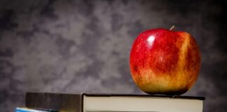 Bihar Education: बिहार एजुकेशन भविष्य कैसे संवरेगा? 4 लाख छात्रों का भविष्य अंधकार में, पढ़िए… शिक्षा विभाग का आखिर क्या है पूरा मामला?