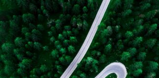 Patna Development: पटना में विकास की नई इबारत, कलेक्ट्रेट घाट से सभ्यता द्वार तक बनेगी शानदार सड़क