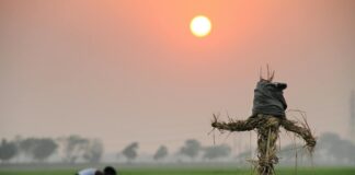 Bihar High-Tech Farming: बिहार में हाई-टेक फार्मिंग ने बेड़ियों को तोड़ा, सीवान बना अव्वल, जानिए कैसे बदल रही है खेती की सूरत