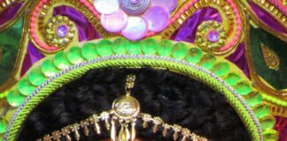 Chaitra Navratri 2026: चैत्र नवरात्रि पर डोली में सवार होकर आ रही हैं मां दुर्गा, जानें इसका ज्योतिषीय प्रभाव