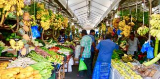 Bihar News: Nitish का मास्टरस्ट्रोक! 725 नए बाजार और हाट से बदलेगी किसानों की किस्मत, जानें कब शुरू होगा काम