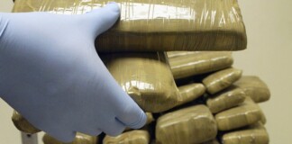 Bihar Crime News: बिहार में नशा तस्करी पर बड़ी कार्रवाई, औरंगाबाद में 96 किलो डोडा अफीम जब्त, 4 तस्कर गिरफ्तार