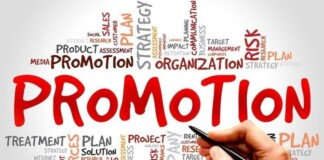 Bihar DTO Promotion: परिवहन विभाग में बड़ा फेरबदल, 17 ADTO और MVI बने DTO, जारी हुई अधिसूचना