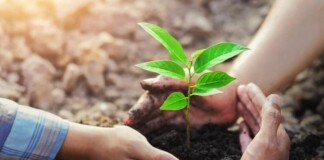 Bihar News: बिहार के किसानों को Soil Health Card, मिलेगी Darbhanga, Madhubani, Samastipur समेत 24 जिलों को बड़ी सौगात, पढ़िए कैसे बढ़ेगी आय!