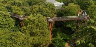 Tree Top WalkWay: ट्री टॉप वॉकवे का नए और रोमांचक अनुभव… पटना जू में बनेगा बिहार का पहला अनोखा वॉकवे, ऊंचाई से देखें जंगल का नजारा