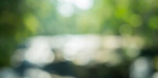 Darbhanga में ‘मानवता शर्मसार’ करने वाले अवैध नर्सिंग होम पर कब लगेगी लगाम? पढ़िए शर्मशार करने वाली रिपोर्ट